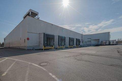 Deißlingen Halle, Deißlingen Hallenfläche