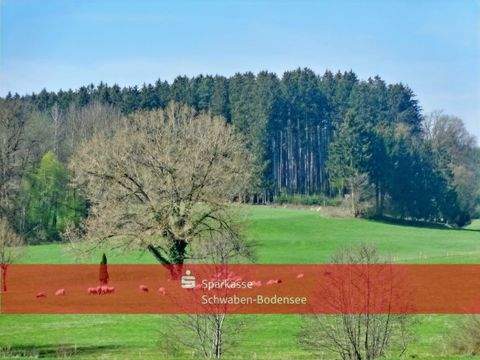 Kirchhaslach Bauernhöfe, Landwirtschaft, Kirchhaslach Forstwirtschaft