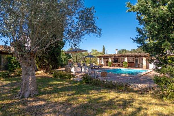 Grüne Umgebung und weitläufiges Grundstück mit viel Privatsphäre