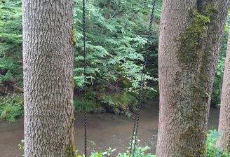 20250607_141659.jpg