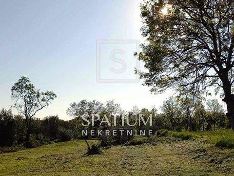 Kastelir-Labinci Bauernhöfe, Landwirtschaft, Kastelir-Labinci Forstwirtschaft