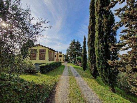 Palaia Häuser, Palaia Haus kaufen