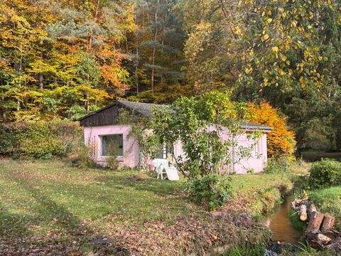 Niederbronn-les-Bains Häuser, Niederbronn-les-Bains Haus kaufen