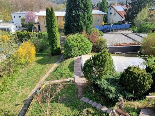 Blick in den Garten