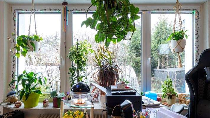 Wohnzimmer Fensterfront