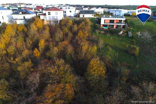 RE/MAX Immobilien DeLux Grundstück Wincheringen