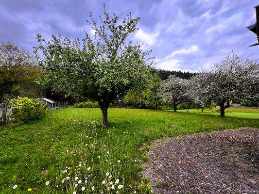 Gartenbereich