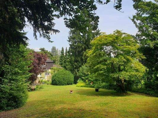 Teilansicht Garten (4)