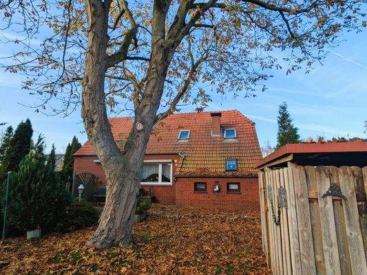 Blick aus dem Garten