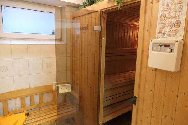 Sauna mit Dusche im Keller