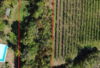 Grundstück Maikammer mit HUF Bauprojekt (1).PNG