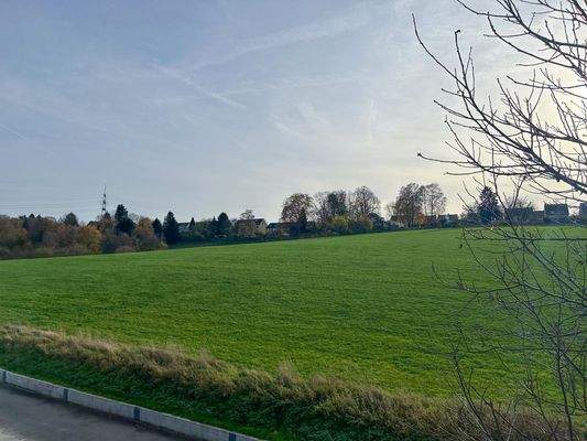 Ländliche Umgebung direkt vor der Haustür