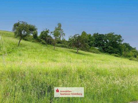 Eberbach Grundstücke, Eberbach Grundstück kaufen