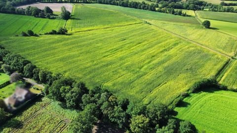 Nordhorn Bauernhöfe, Landwirtschaft, Nordhorn Forstwirtschaft