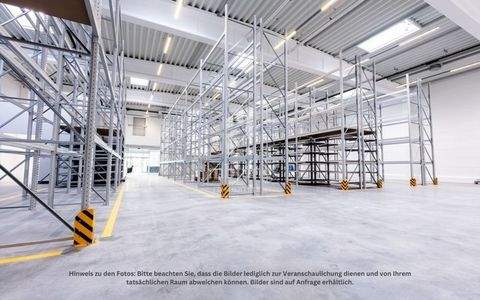 Homburg Halle, Homburg Hallenfläche