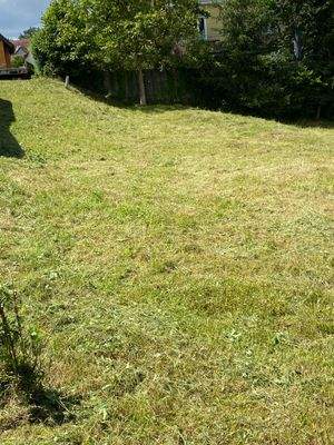 gepflegte Nachbarschaft