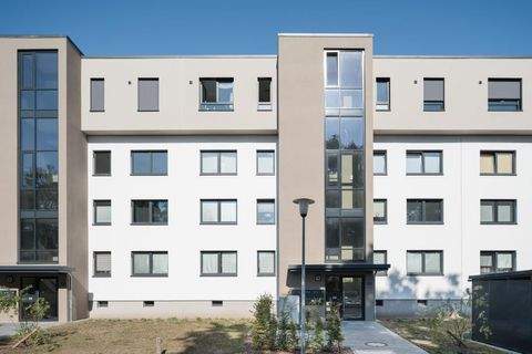 Wolfsburg Wohnungen, Wolfsburg Wohnung mieten