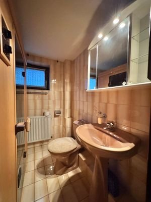 Sauna & Gäste-WC Keller Hinterhaus