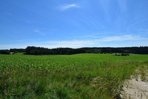 Aussicht nach Süden