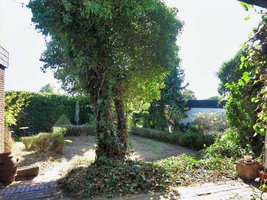 Blick von der Terrasse