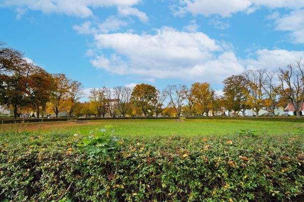 Unmittelbare Umgebung: Parkanlagen entlang des Hessenrings