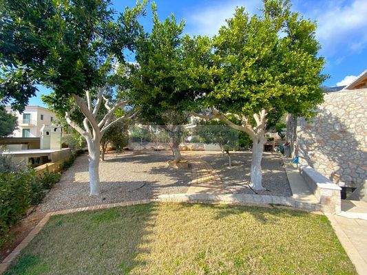 img_9e8866b2-b38b-4449-83e4-4d9916ff6656