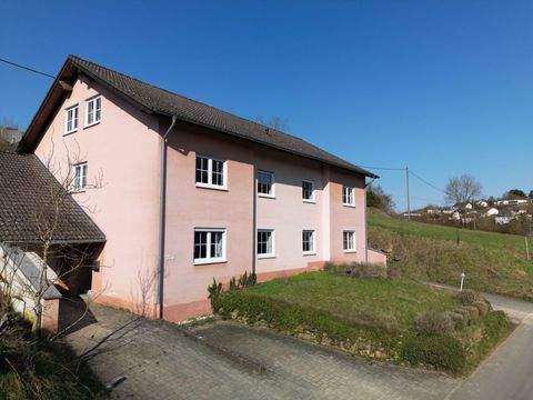 Bitburg / Stahl Häuser, Bitburg / Stahl Haus kaufen