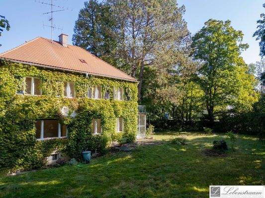 Altbestand mit Gartengrundstueck