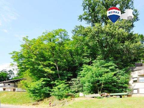 Beckingen Grundstücke, Beckingen Grundstück kaufen