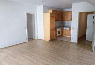 Wohn-Esszimmer mit offener EBK