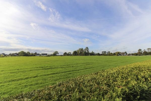 Aussicht aus dem Garten