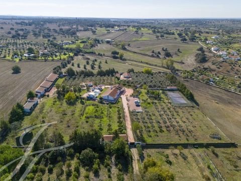 Montemor-o-Novo Bauernhöfe, Landwirtschaft, Montemor-o-Novo Forstwirtschaft