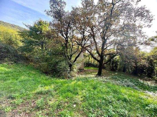 WhatsApp Image 2024-11-05 at 11.24.02.jpeg