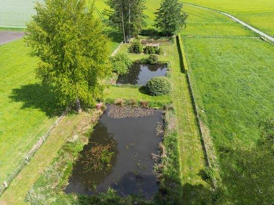 Blick auf die Naturteiche