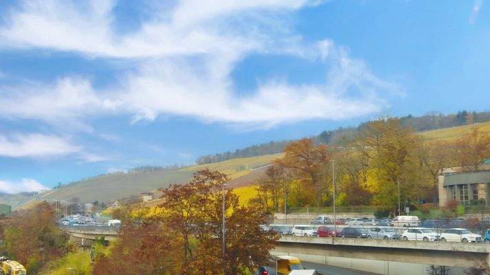 Blick auf die Weinberge