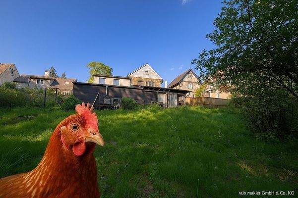 VUB0002113 Titelbild