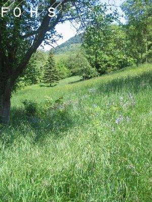 +Bad-Überk.Flur 220-4=3.245 m²Hinter dem Weiler 15