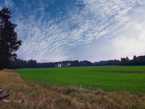 Tangerhütte Bauernhöfe, Landwirtschaft, Tangerhütte Forstwirtschaft