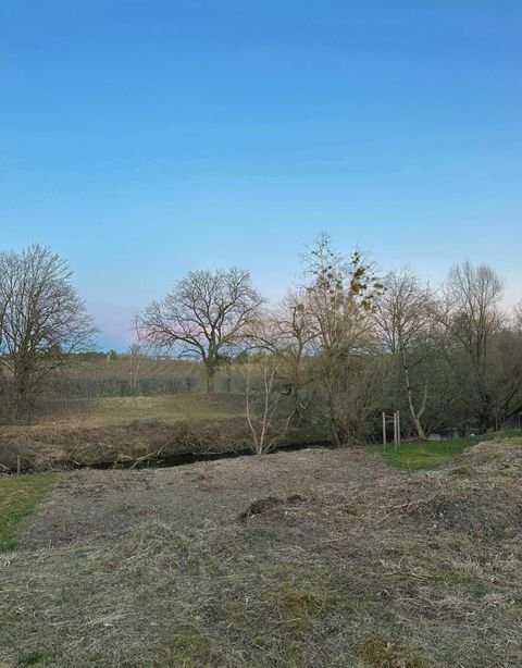 Meckenbeuren Grundstücke, Meckenbeuren Grundstück kaufen
