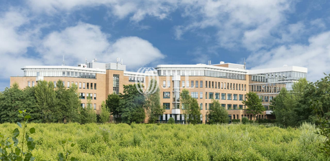 Düsseldorf Halle, Düsseldorf Hallenfläche