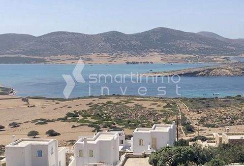 Agios Georgios, Antiparos Bauernhöfe, Landwirtschaft, Agios Georgios, Antiparos Forstwirtschaft