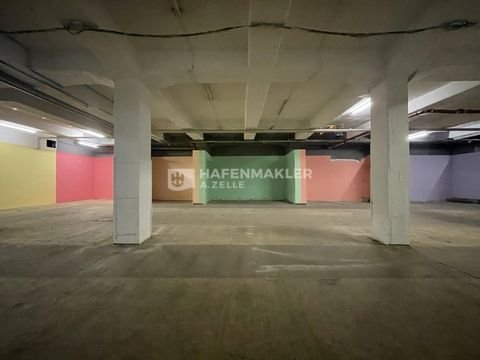 Hamburg Halle, Hamburg Hallenfläche