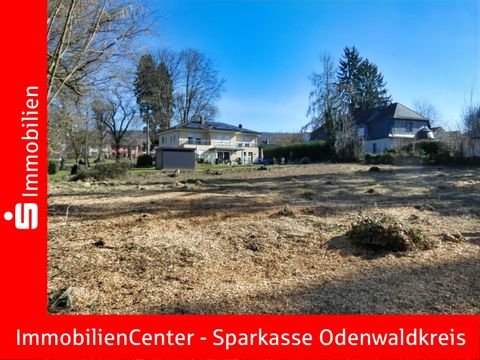 Michelstadt Grundstücke, Michelstadt Grundstück kaufen