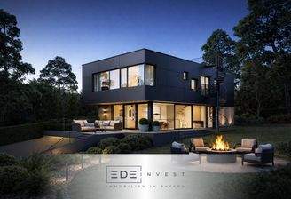 Villa mit Feuerstelle_Visualisierung