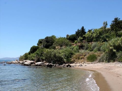 Zakynthos Bauernhöfe, Landwirtschaft, Zakynthos Forstwirtschaft