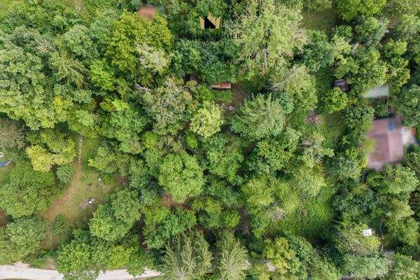 (Sing-)Vogelperspektive