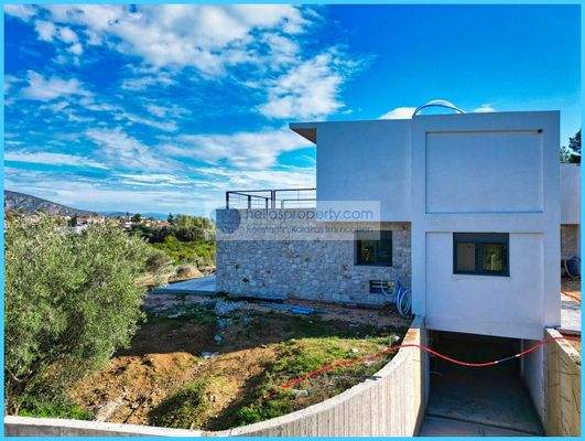 9583f9af3cc940a9b94972173c5bb754-original