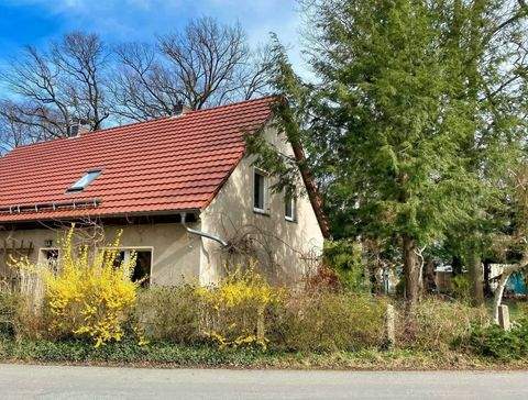 Niesky Häuser, Niesky Haus kaufen