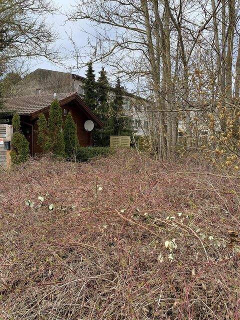 Stove Häuser, Stove Haus kaufen