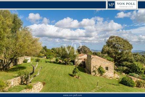 Luogosanto Häuser, Luogosanto Haus kaufen